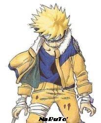 NaRuTo'